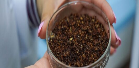 Proteína a partir de macroalgas marinas