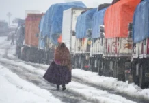 Bolivia: Más de 26 mil familias afectadas por intensa nevada bolivia-intensa-nevada