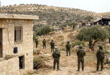 Colonos israelíes cometen nuevo ataque contra Palestina en Nablus Nablus