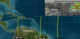 las ondas tropicales