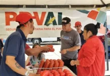 Estiman distribuir 26.273 toneladas de alimentos semanales a través de Mercal y Pdval