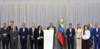 Acuerdos Gobierno AN 2015