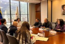 Ministerio Transporte proyectos