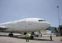 Aeropuerto Internacional Arturo Michelena registra récord de pasajeros diarios aeropuerto-record-pasajeros-diarios