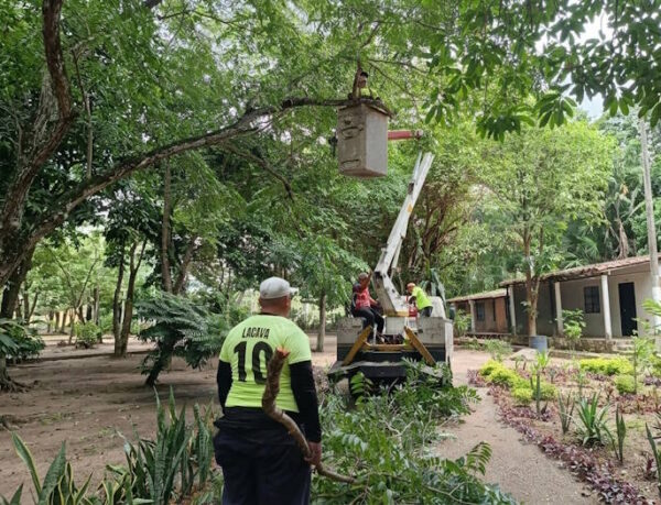Jardín Botánico de Naguanagua