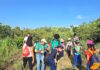 Reforestación en Fila Cúpira: Recuperan este importante pulmón vegetal de Carabobo Fila Cúpira