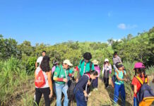 Reforestación en Fila Cúpira: Recuperan este importante pulmón vegetal de Carabobo Fila Cúpira