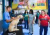 Inaugurado campamento de Misión Nevado para 400 animales rescatados tras sismos