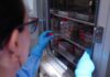 Diseñan «tijeras moleculares» que frenan el VIH en células