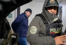 La «granja de bots» de Fernando Cerimedo que despierta las alarmas en Bolivia la granja de bots de Cerimedo