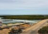 Restringen paso al puente Punta Brava para descartar daños estructurales tras reciente sismo