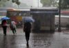 Presidenta activa el sistema de Protección Civil ante afectaciones por fuertes lluvias en Caracas