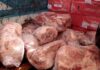 Garantizan abastecimiento de cerdo para la temporada decembrina garantizan-abastecimiento-cerdo