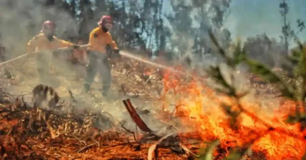 Incendios forestales en Colombia.
