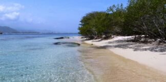 Día Internacional de los Parques Nacionales-Isla Larga-Puerto Cabello-Carabobo