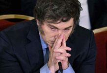 El respaldo a Milei toca fondo en julio: seis encuestas confirman el desplome Encuestas desplome Milei