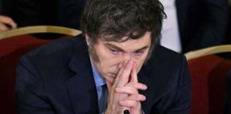 Encuestas desplome Milei