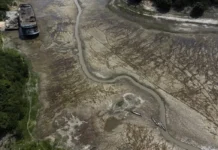 Del Amazonas a Europa: las sequías son cada vez más largas y frecuentes