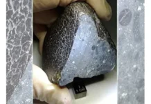 Hallan rastros de agua en meteorito procedente de Marte Hallan rastros de agua en meteorito procedente de Marte