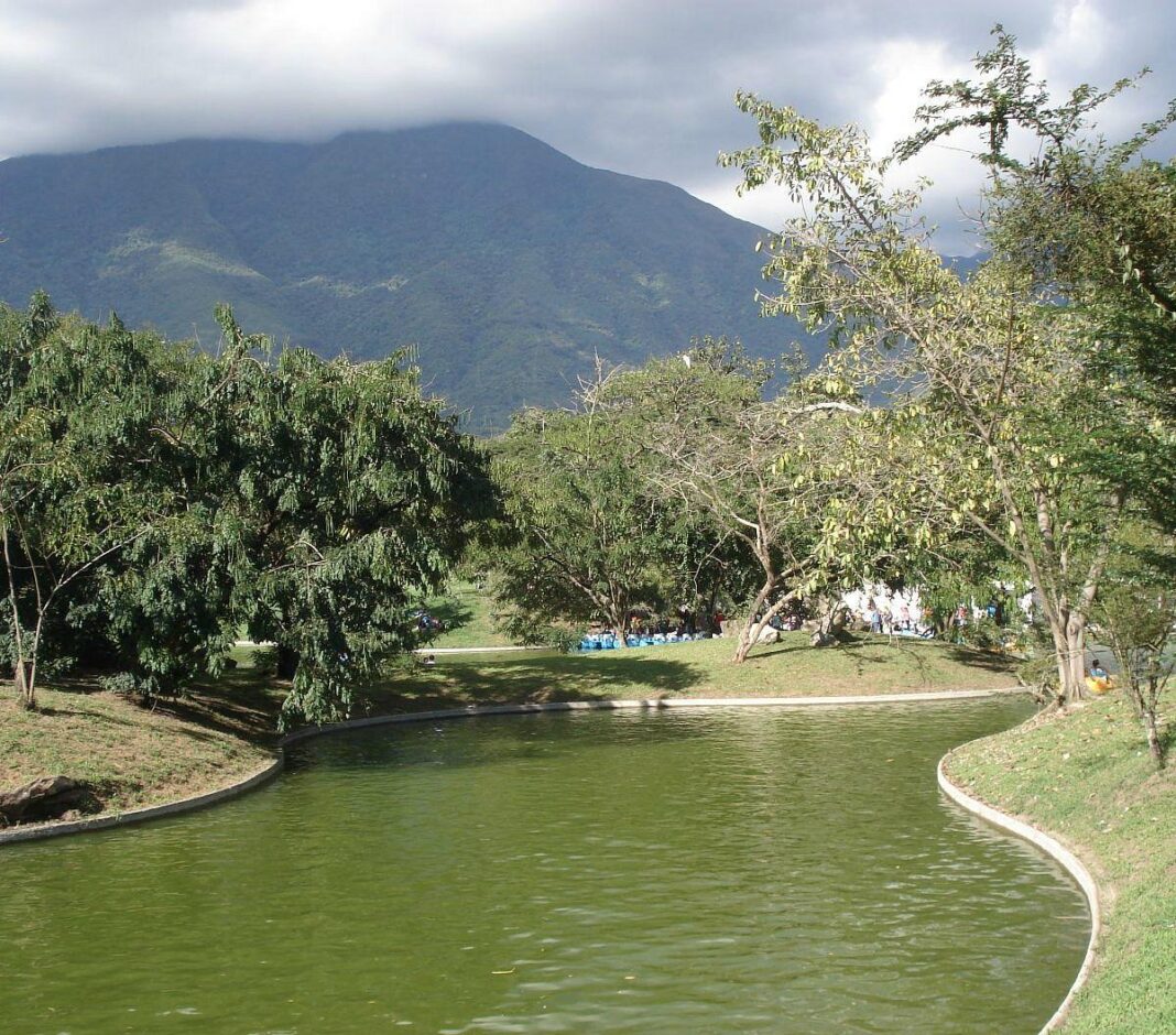 parque-del-este-caracas-dos hermanas-Carmen Pacheco
