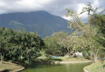 Dos hermanas, dos perspectivas | Carmen Pacheco parque-del-este-caracas-dos hermanas-Carmen Pacheco