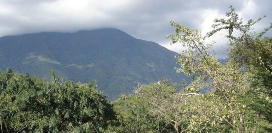 parque-del-este-caracas-dos hermanas-Carmen Pacheco