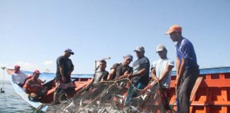 Anuncian 9% de incremento en actividad pesquera durante en el primer semestre del año