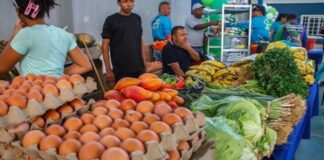Plan de Amor y Prosperidad garantizó el acceso a proteínas y hortalizas a más de 1 millon de familias