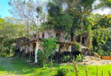 Hacienda La Unión: una historia detrás de sus ruinas después de 130 años | Diego Armando Trejo