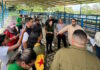 Plan Nacional de Caracterización del Rebaño Bovino