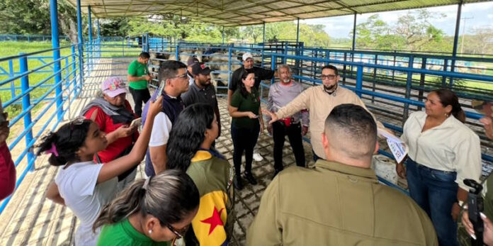 Plan de Caracterización Bovino arranca en el municipio Libertador Plan Nacional de Caracterización del Rebaño Bovino