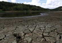 sequia-puerto-rico-estado-emergencia-1-768x432