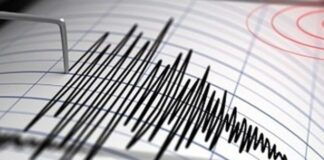 Un terremoto en Japón