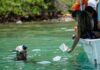 Celebran el Día Mundial de las Playas en Mochima con liberación de caballitos de mar