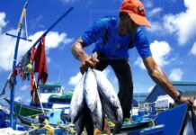 Cumbre de pesca - Venezuela Azul - política pesquera