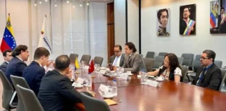 Autoridades de Venezuela y Türkiye evalúan reactivación de ruta aérea
