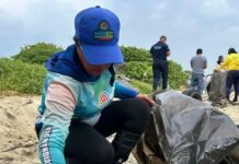 La gesta por las costas venezolanas en el marco del Día Mundial de las Playas Día Mundial de las playas - costas venezolanas