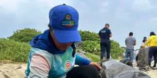Día Mundial de las playas - costas venezolanas