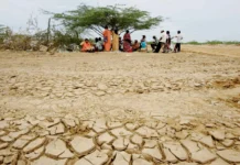 El Niño amenaza la seguridad alimentaria de América Latina El Niño