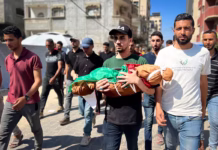 Crisis humanitaria se agrava en Gaza tras ofensiva israelí desde 2023 Gaza