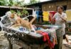 A buen entendedor | Se nos montó la gata en la batea