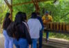 Bambú en Venezuela: El recurso bioalternativo para viviendas sostenibles Bambú en Venezuela