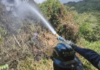 Caracas: Bomberos frenan incendio forestal en Petare Caracas: Bomberos frenan incendio forestal en Petare