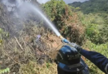 Caracas: Bomberos frenan incendio forestal en Petare