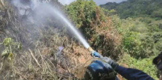 Caracas: Bomberos frenan incendio forestal en Petare