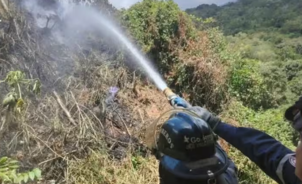 Caracas: Bomberos frenan incendio forestal en Petare Caracas: Bomberos frenan incendio forestal en Petare