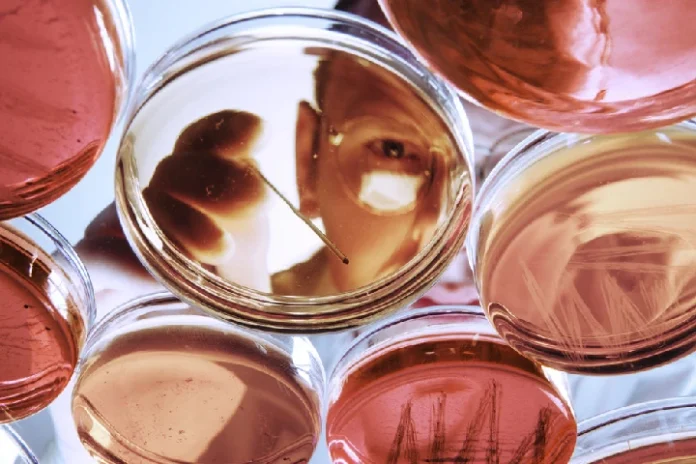 China busca consolidarse como potencia en biomedicina
