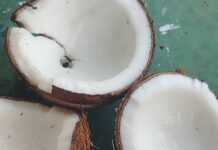 Coco-cocos-cocos nucífera 2