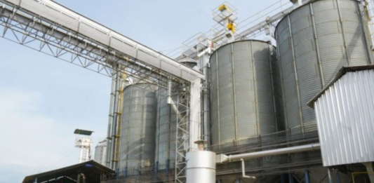 Productores de arroz