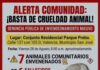 Denuncia de envenenamiento de manada comunitaria de gatos 2